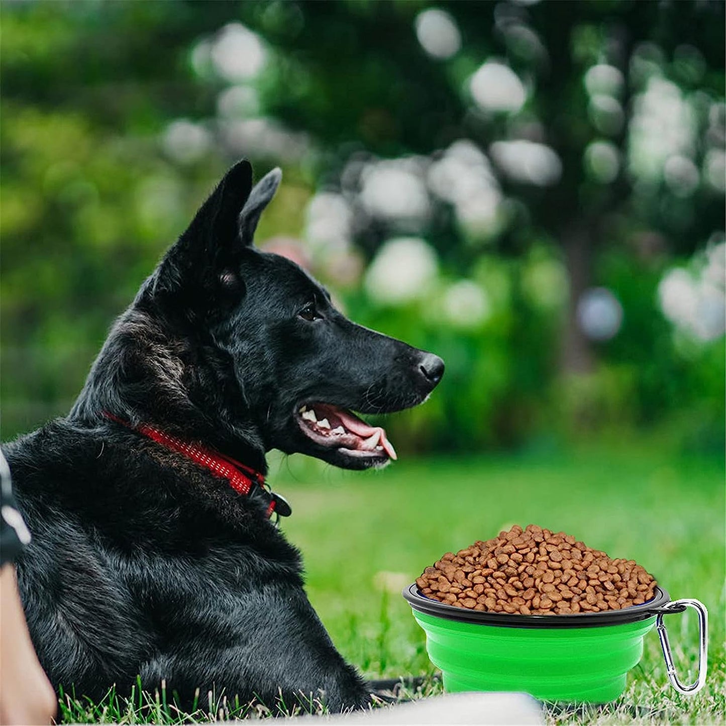 Collapsible Bowl I Portable Foldable Travel Bowls I Pets Water Feeding Bowls for Walking, Camping and Outdoors (Large, Green)