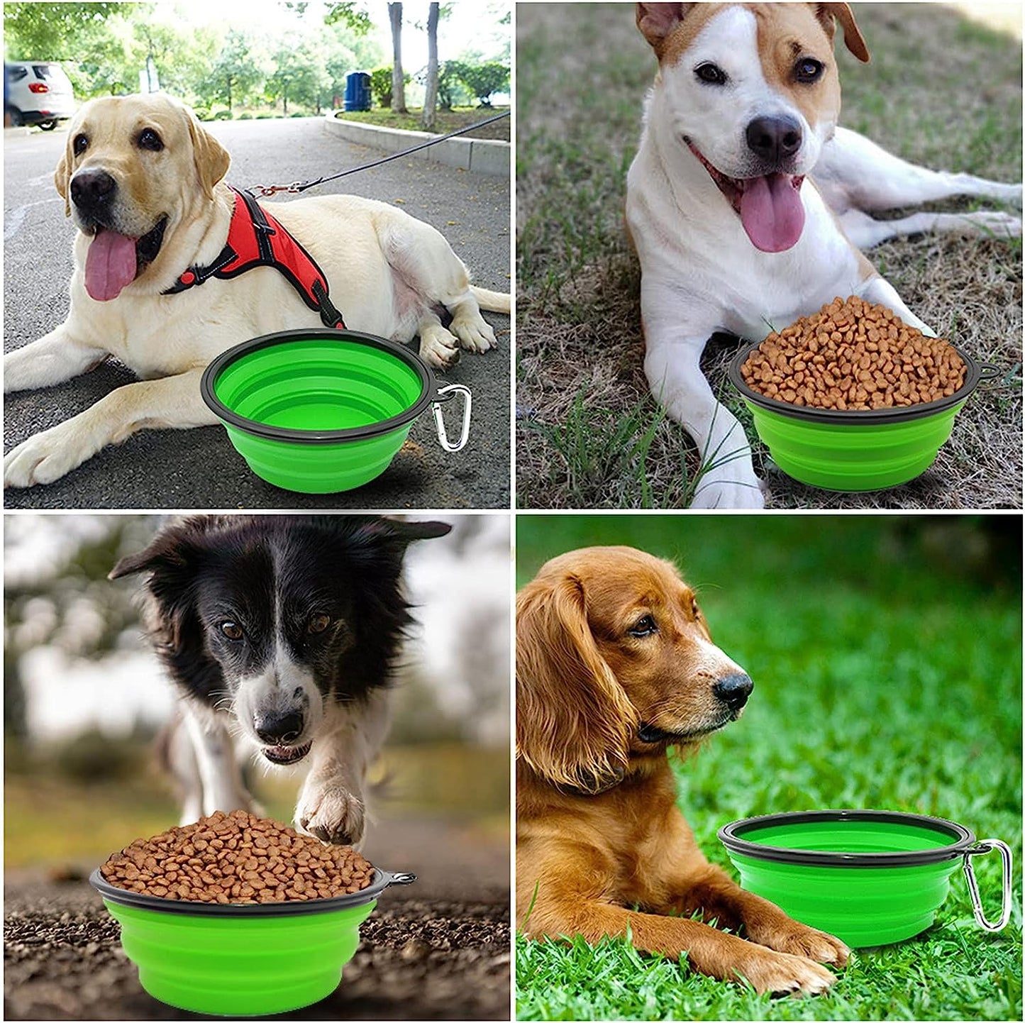 Collapsible Bowl I Portable Foldable Travel Bowls I Pets Water Feeding Bowls for Walking, Camping and Outdoors (Large, Green)