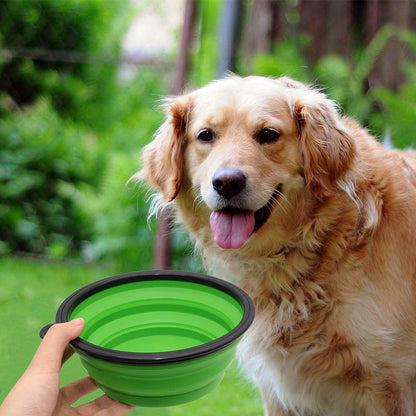 Collapsible Bowl I Portable Foldable Travel Bowls I Pets Water Feeding Bowls for Walking, Camping and Outdoors (Large, Green)